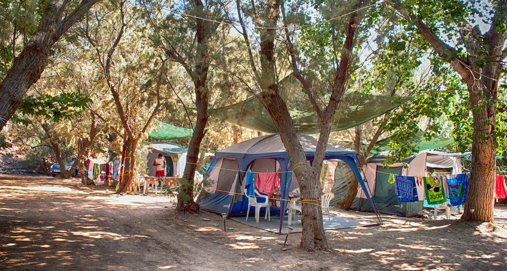 Kamp alanı Nopigia
